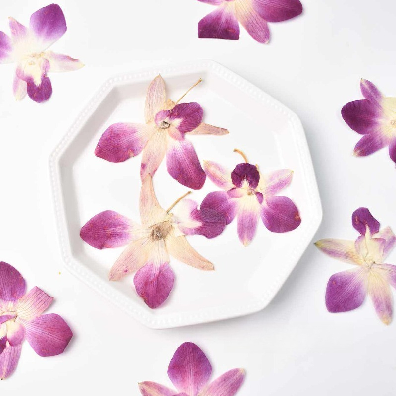 Resin Art Photo Frame - 4 pièces, véritables fleurs d'orchidée papillon
