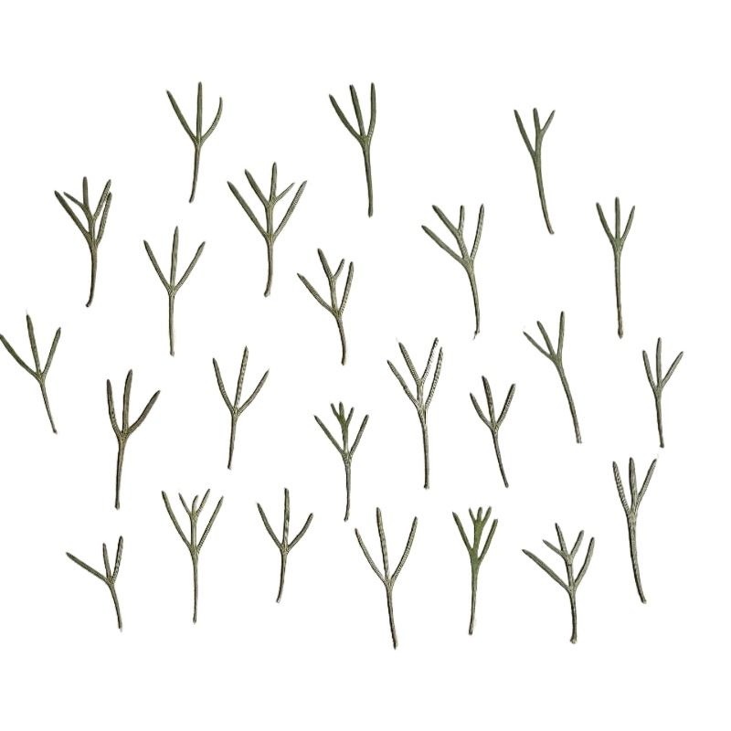 Resin Art Bookmark - 24 pièces, Feuilles d'achillea pressées naturelles,