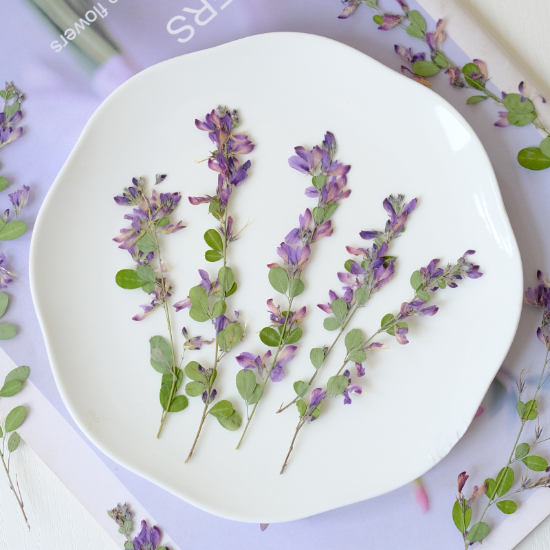 6 pièces, fleurs séchées press - Resin Art Photo Frame avis et prix