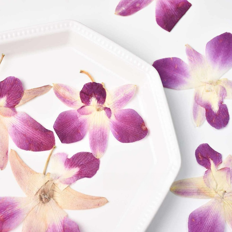 4 pièces, véritables fleurs d' - Resin Art Photo Frame avis et prix