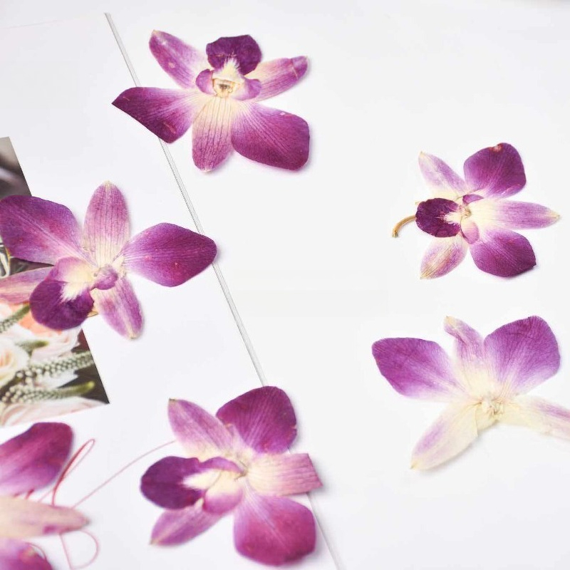 4 pièces, véritables fleurs d' - Resin Art Photo Frame avis et prix