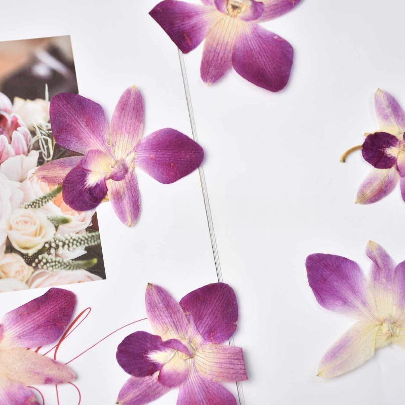 4 pièces, véritables fleurs d' - Resin Art Photo Frame avis et prix