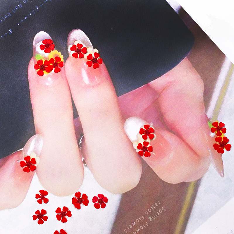 96 mini fleurs pressées nature - Resin Art Photo Frame avis et prix