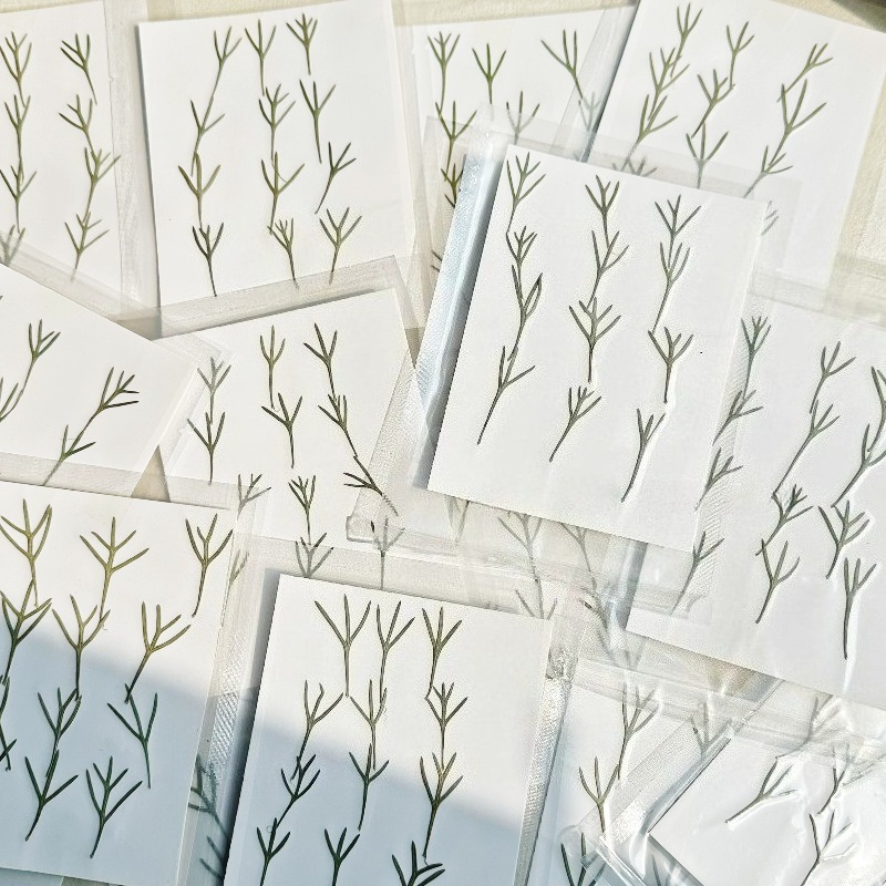 24 pièces, Feuilles d'achillea - Resin Art Bookmark avis et prix