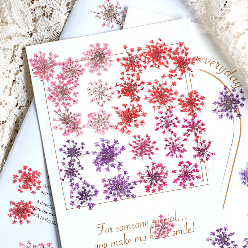 24 pièces, 2-2,5 cm, mini péta - Resin Art Photo Frame avis et prix