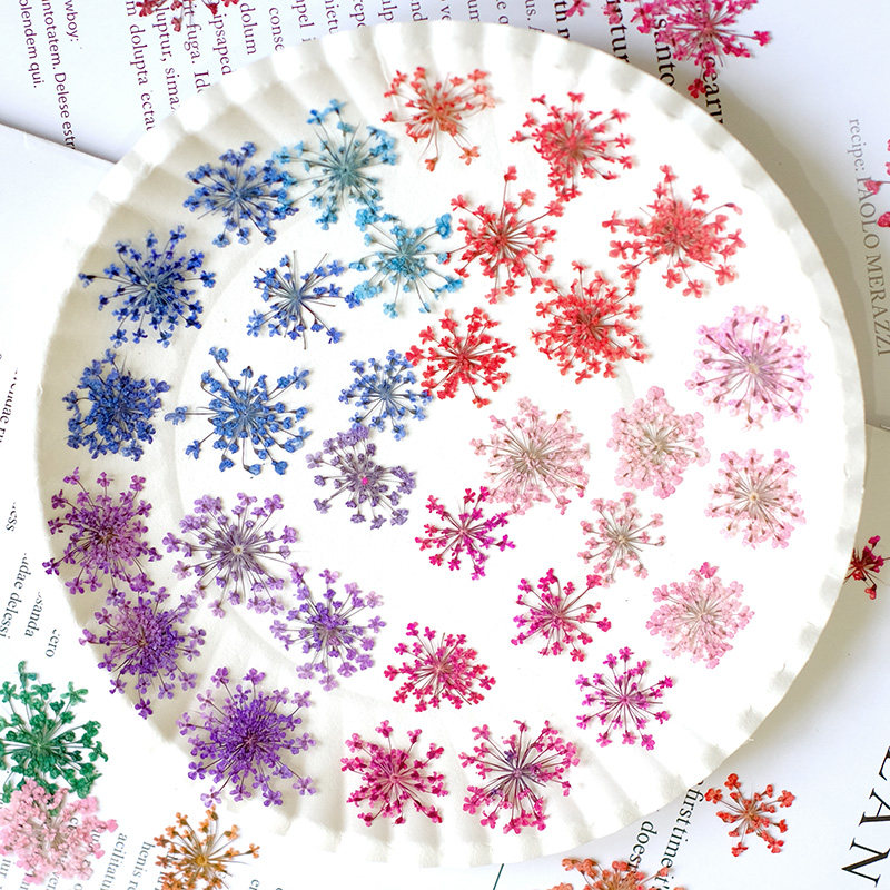 24 pièces, 2-2,5 cm, mini péta - Resin Art Photo Frame avis et prix