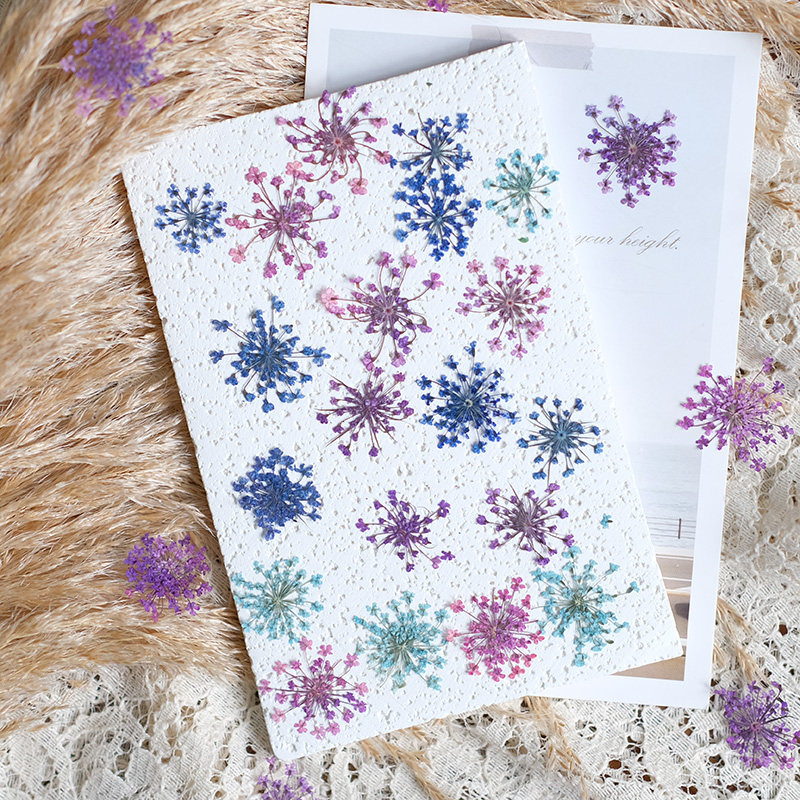 24 pièces, 2-2,5 cm, mini péta - Resin Art Photo Frame avis et prix